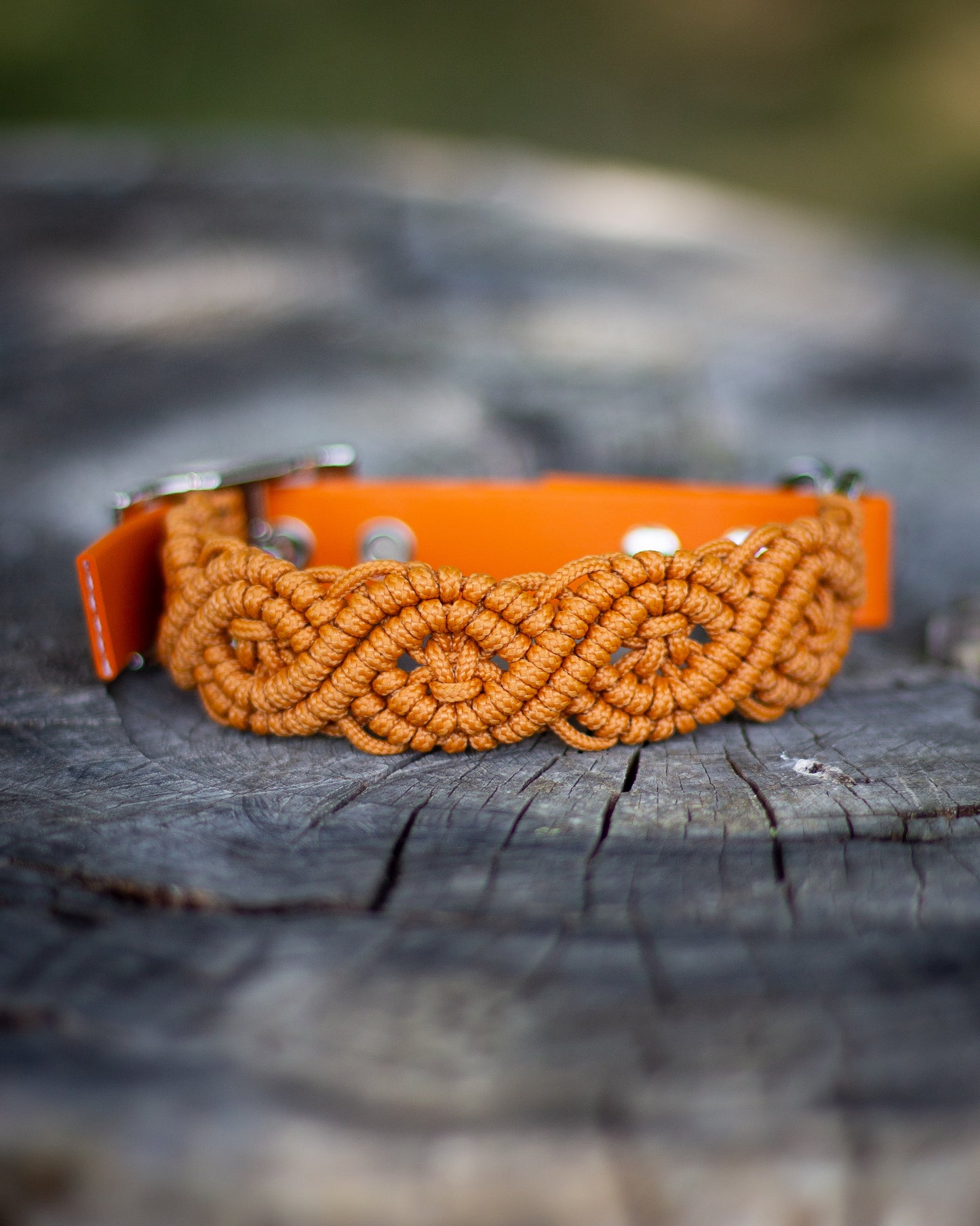 Burnt Orange