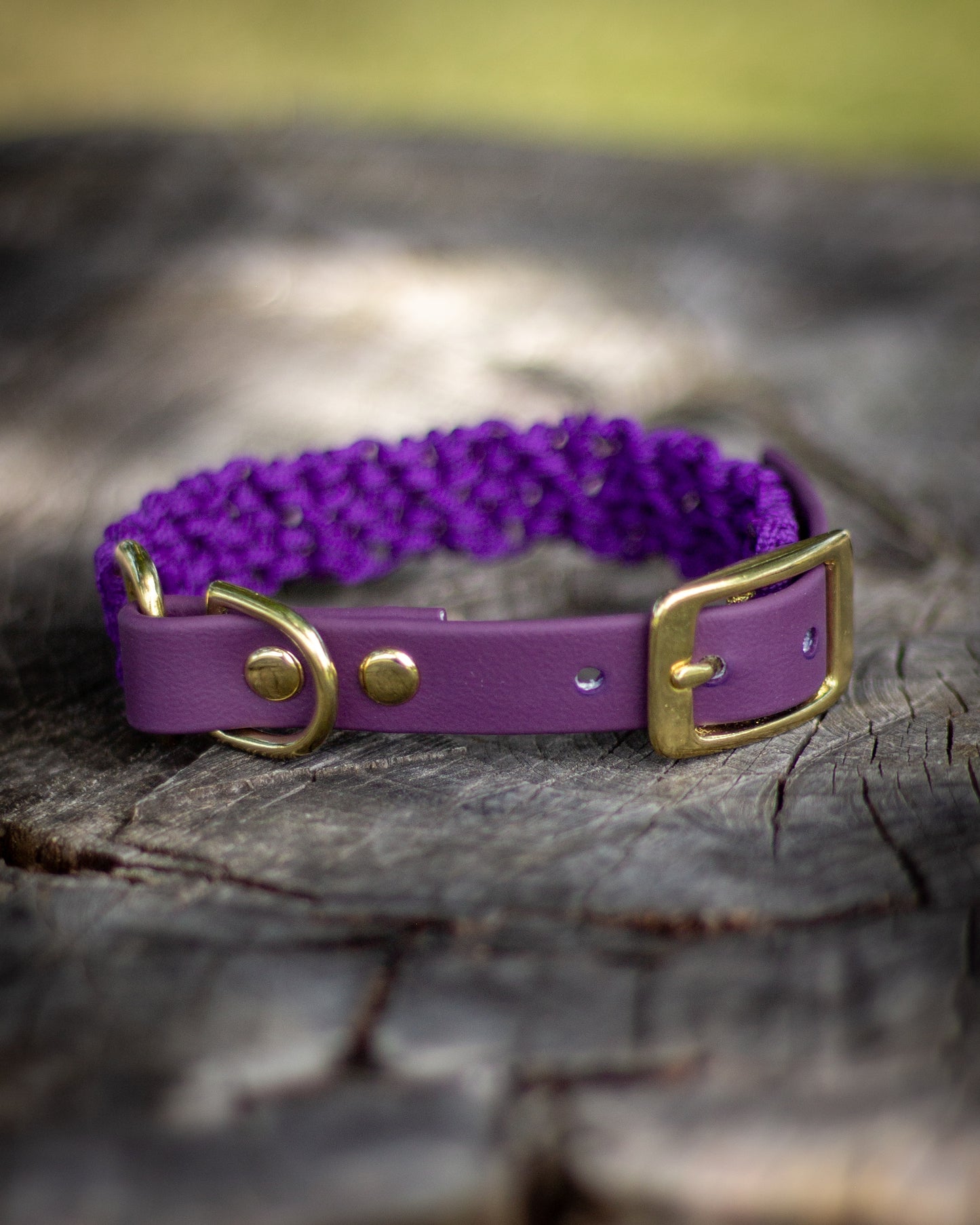 Royal Purple