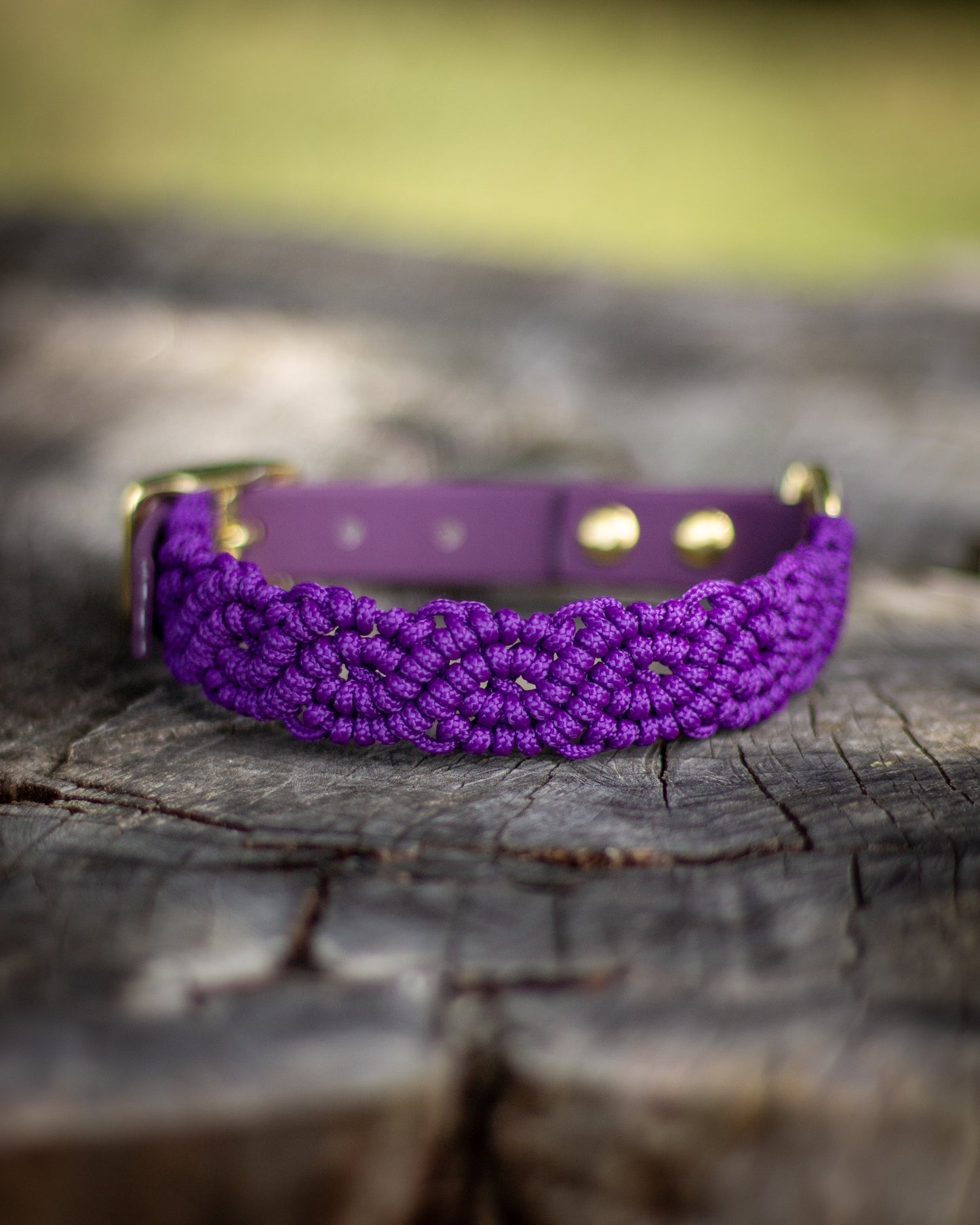 Royal Purple