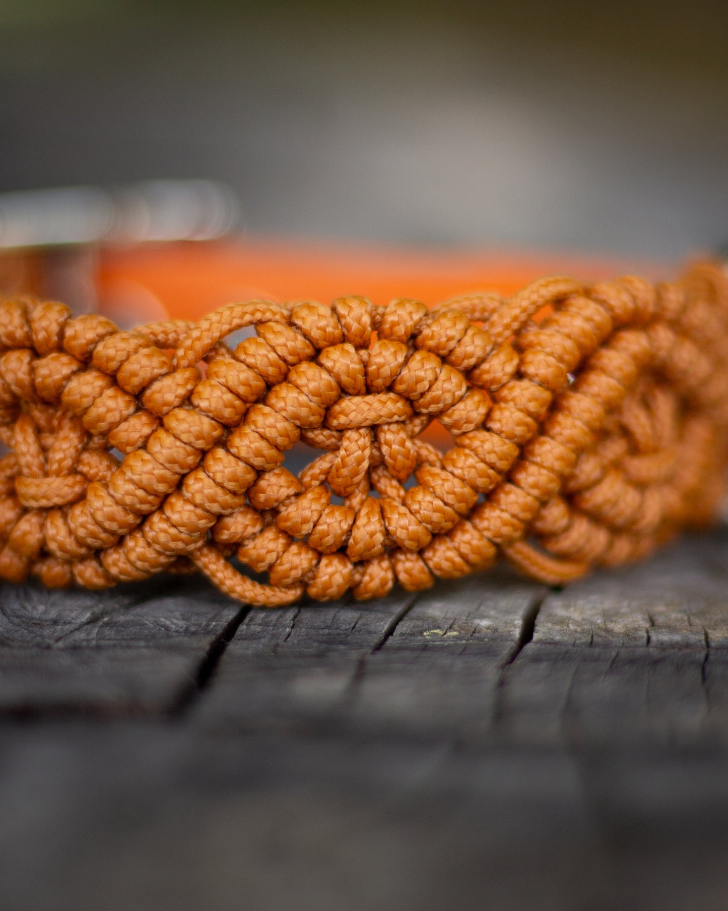 Burnt Orange