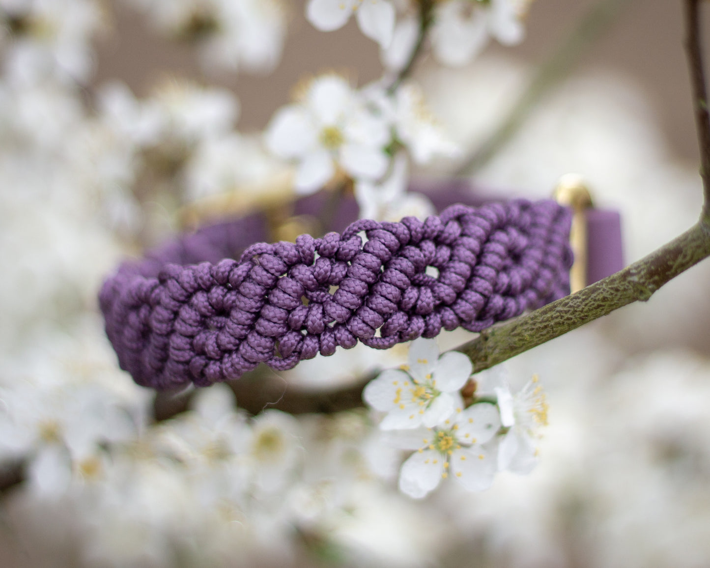 Mauve