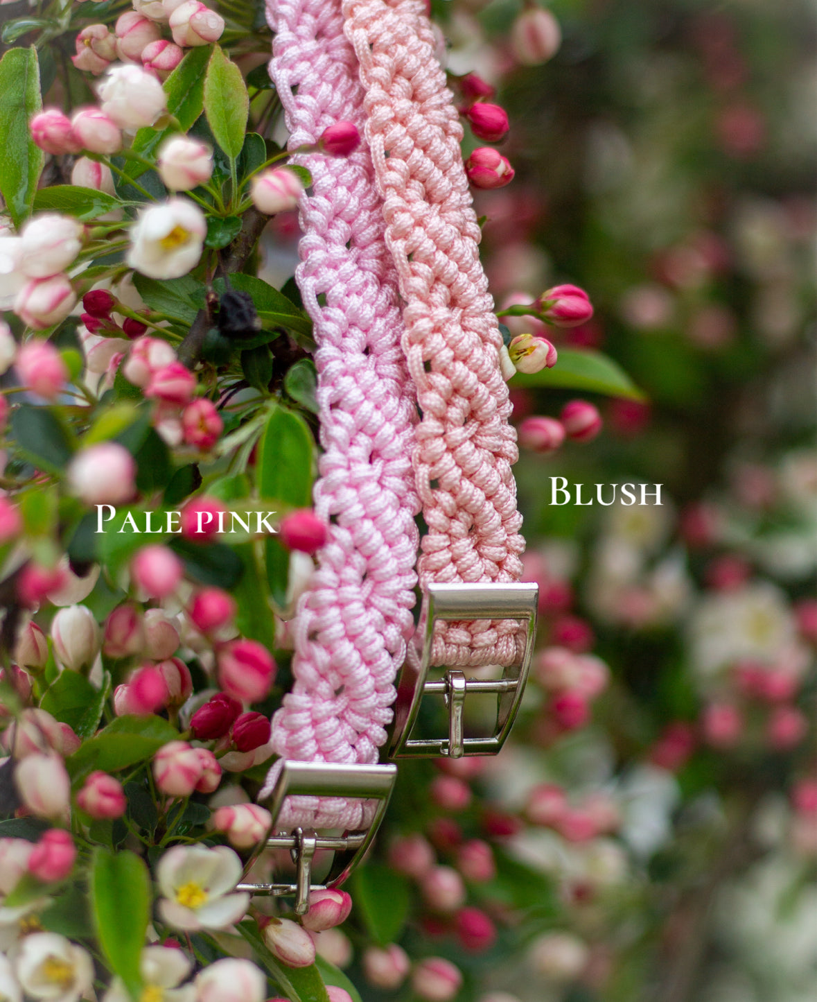 Blush