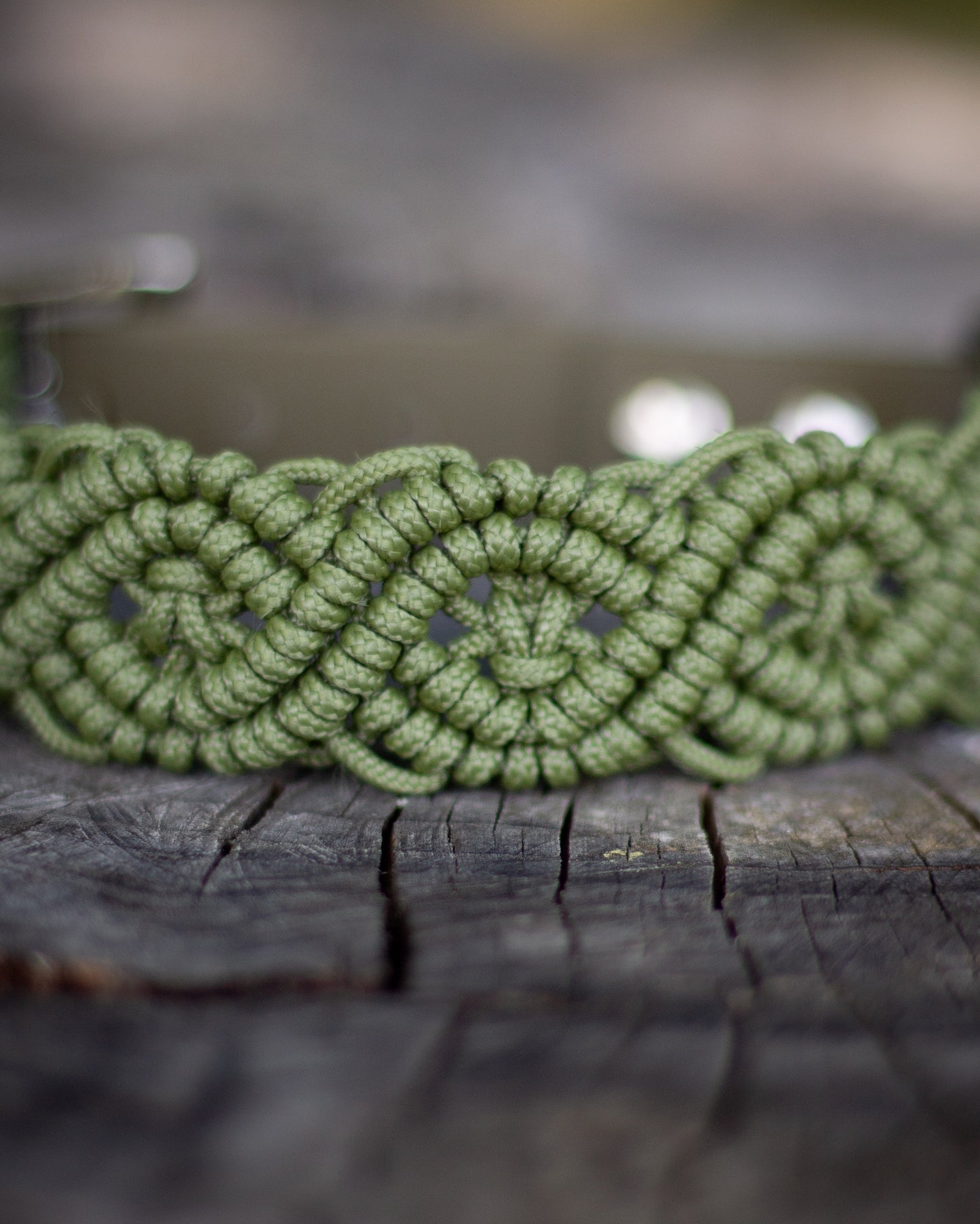 Moss
