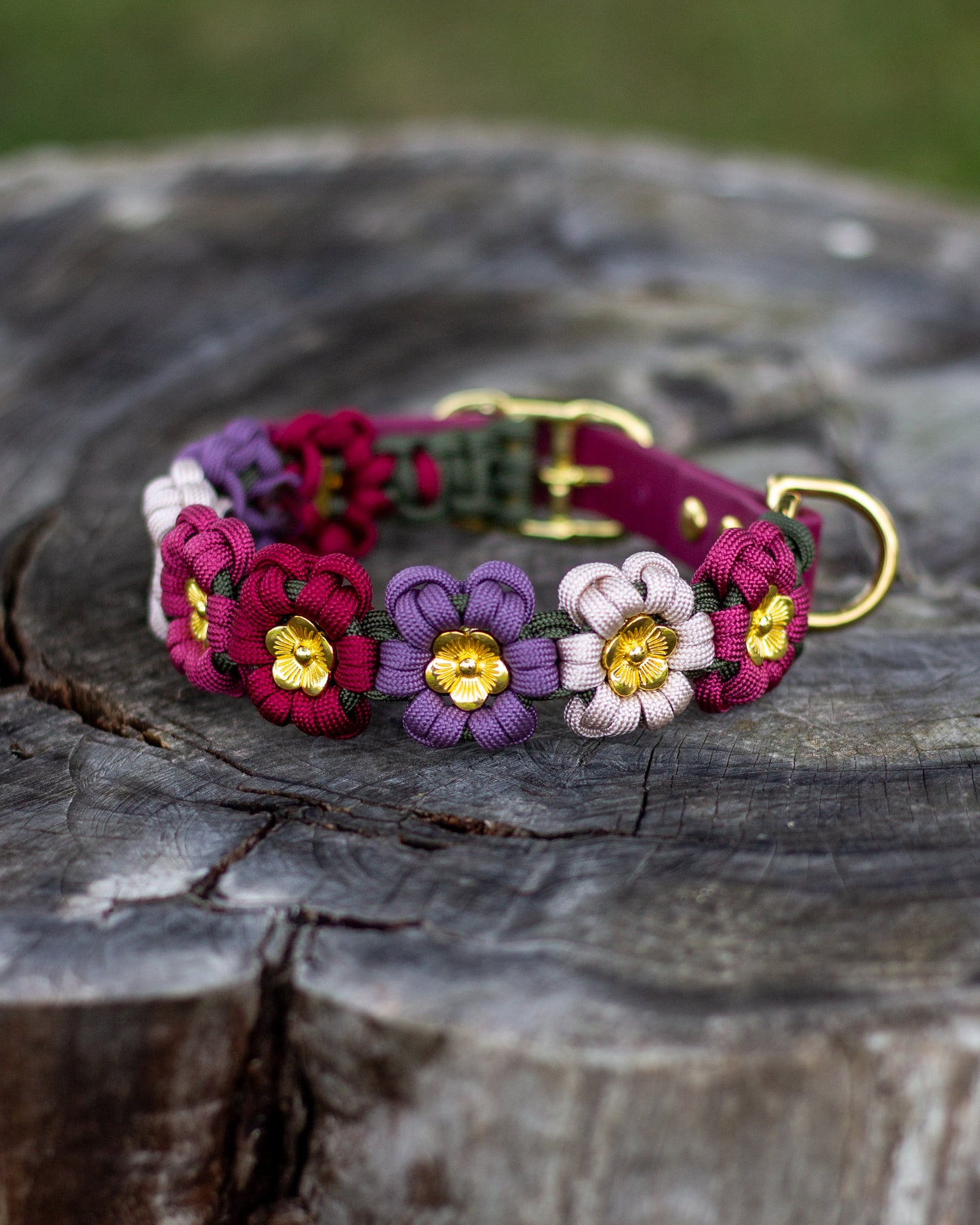 Collar - Hazelnut Brown