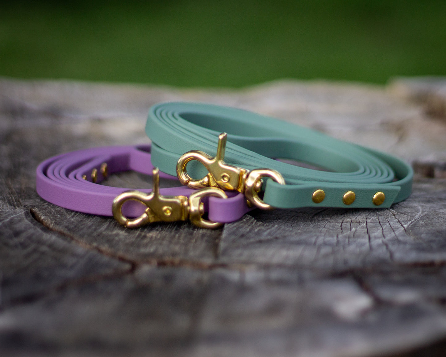 BioThane® Leash - Sage