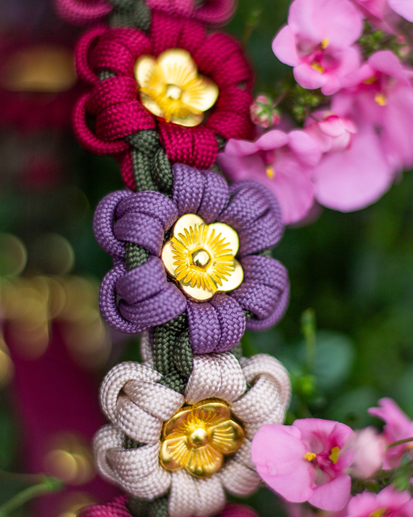 Collar - Hazelnut Brown