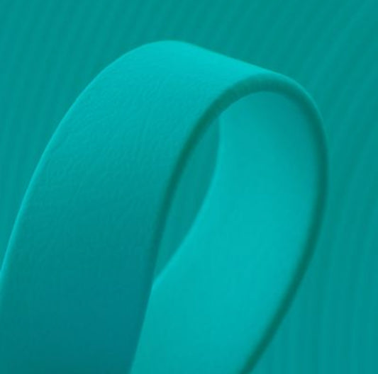 Koppel BioThane® - Lagoon