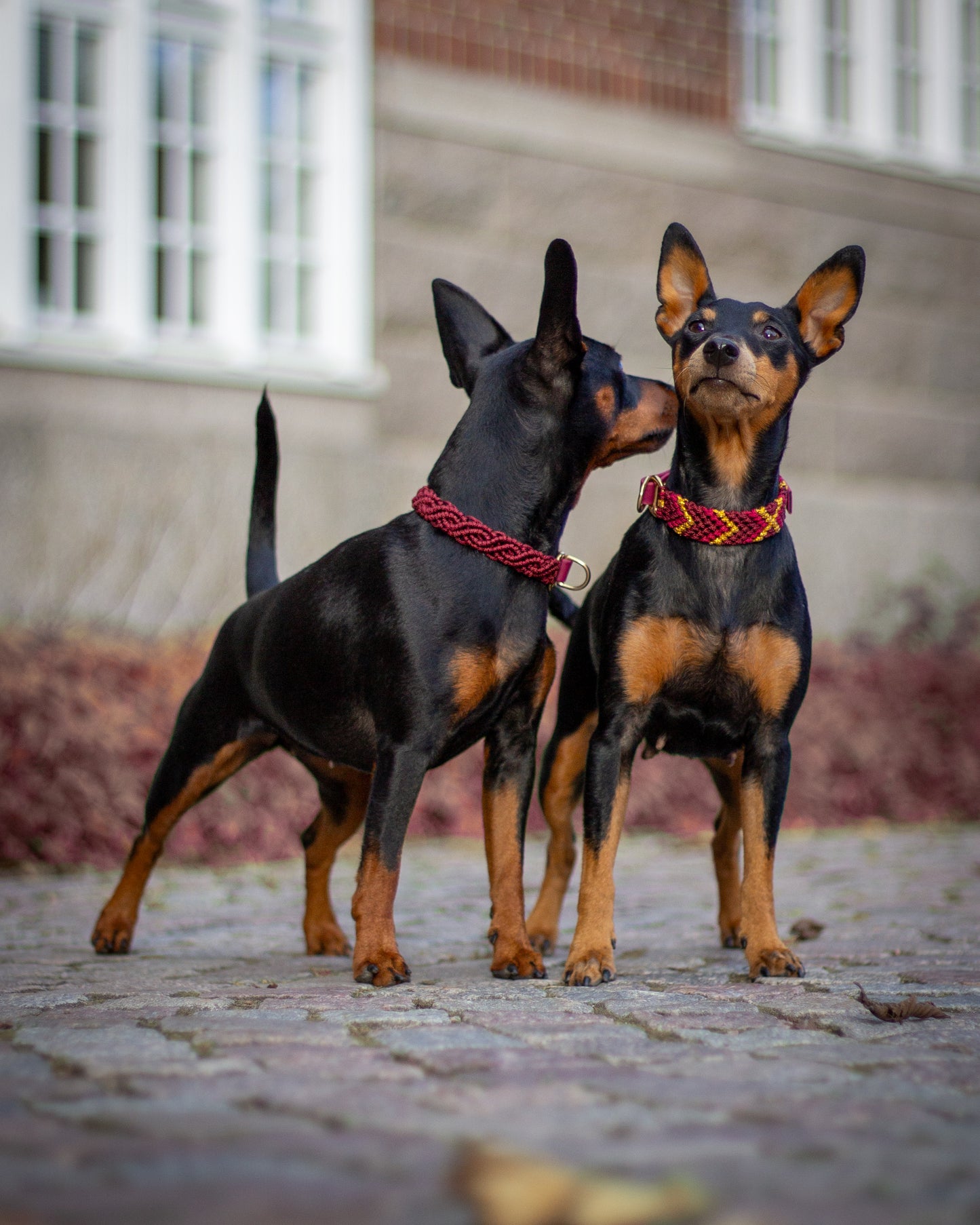 Dubbelflätat halsband - Merlot