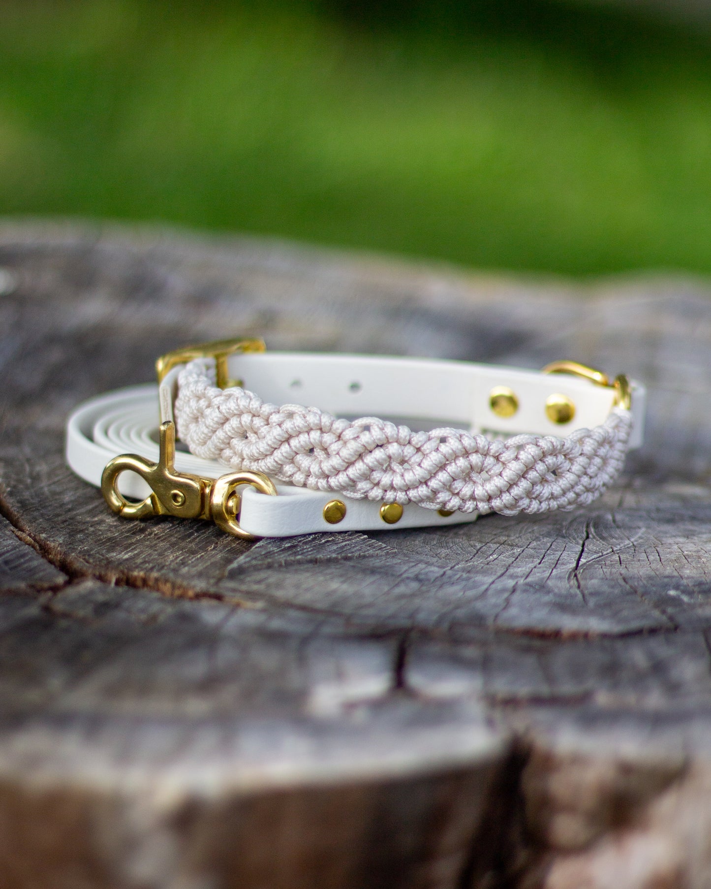 Collar - Beige