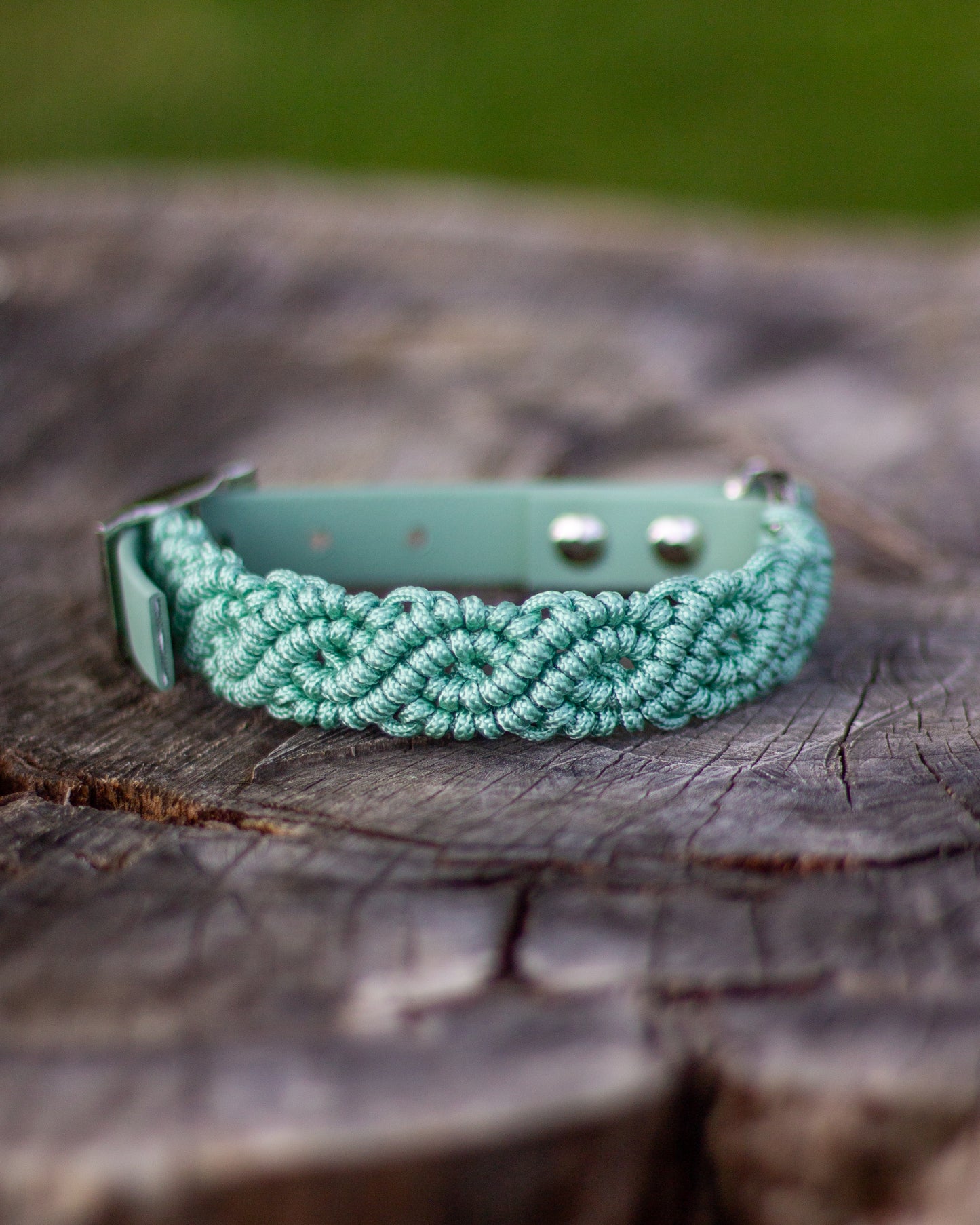 Collar - Beige