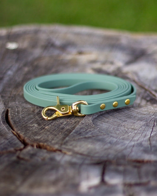BioThane® Leash - Sage