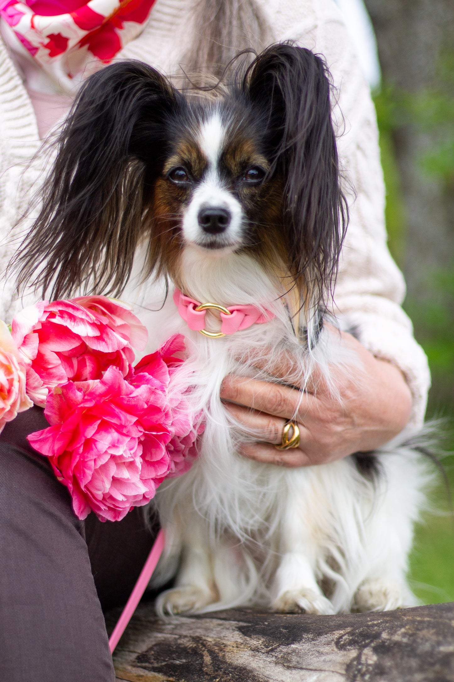 Leash BioThane® - Pastel Pink