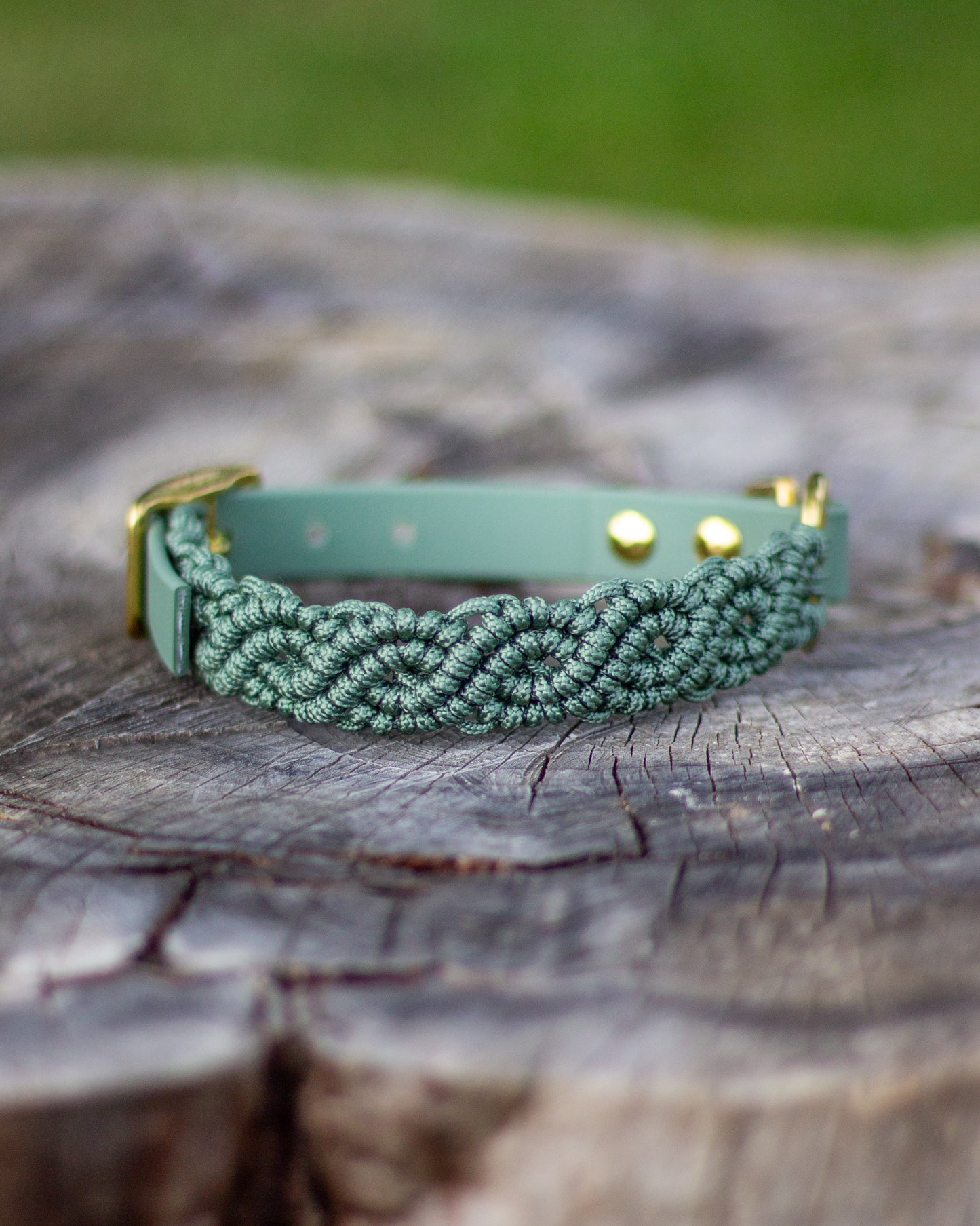 Collar - Beige