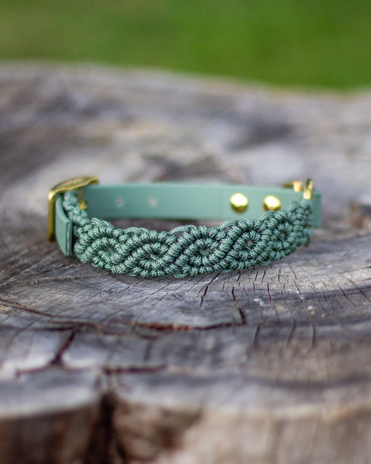 Collar - Beige