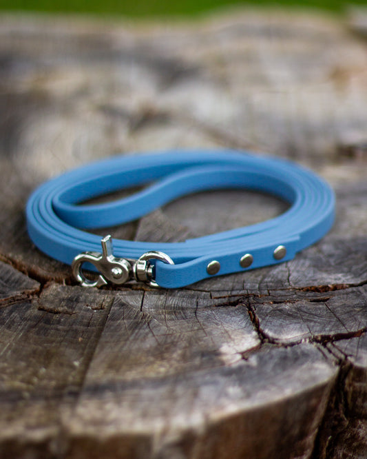 BioThane® Leash - Petrol
