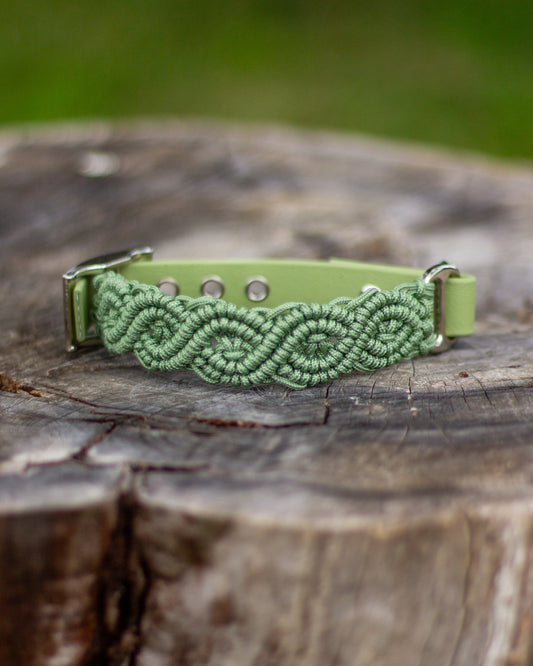 Collar - Beige