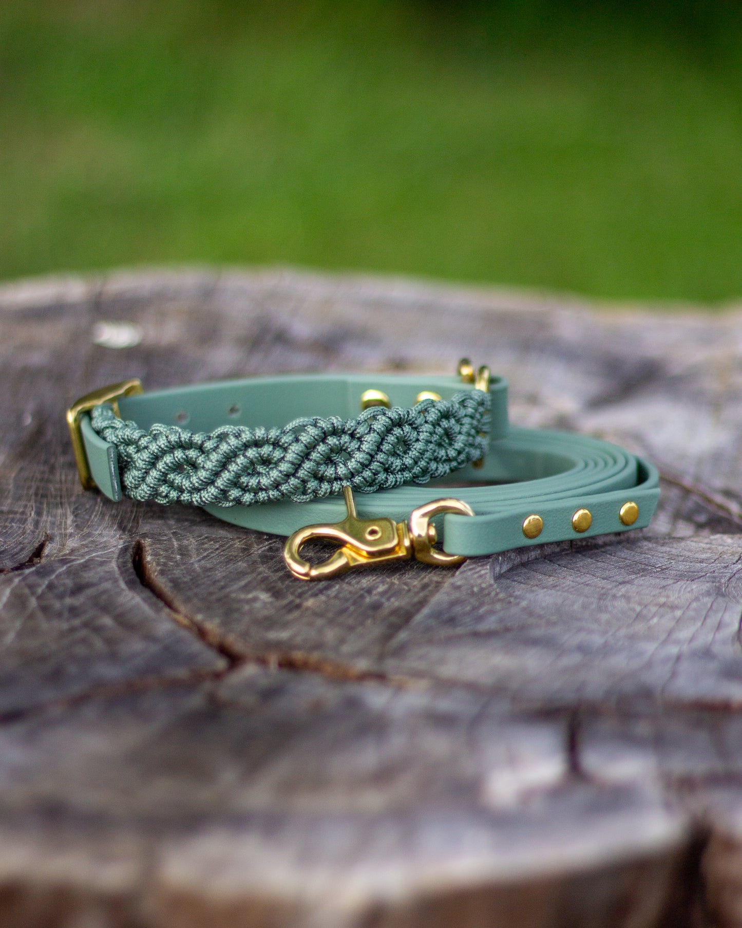 BioThane® Leash - Sage