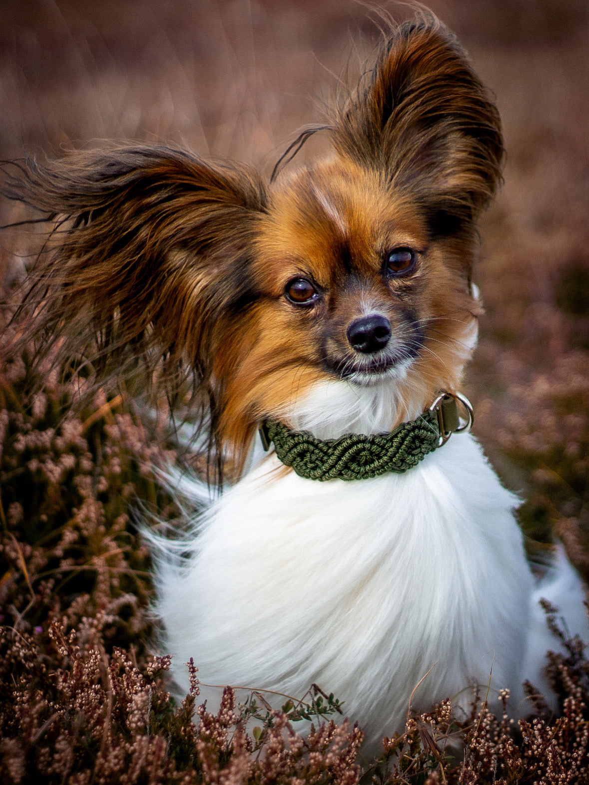 Dubbelflätat halsband - Olive