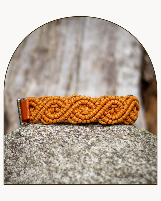 Burnt Orange