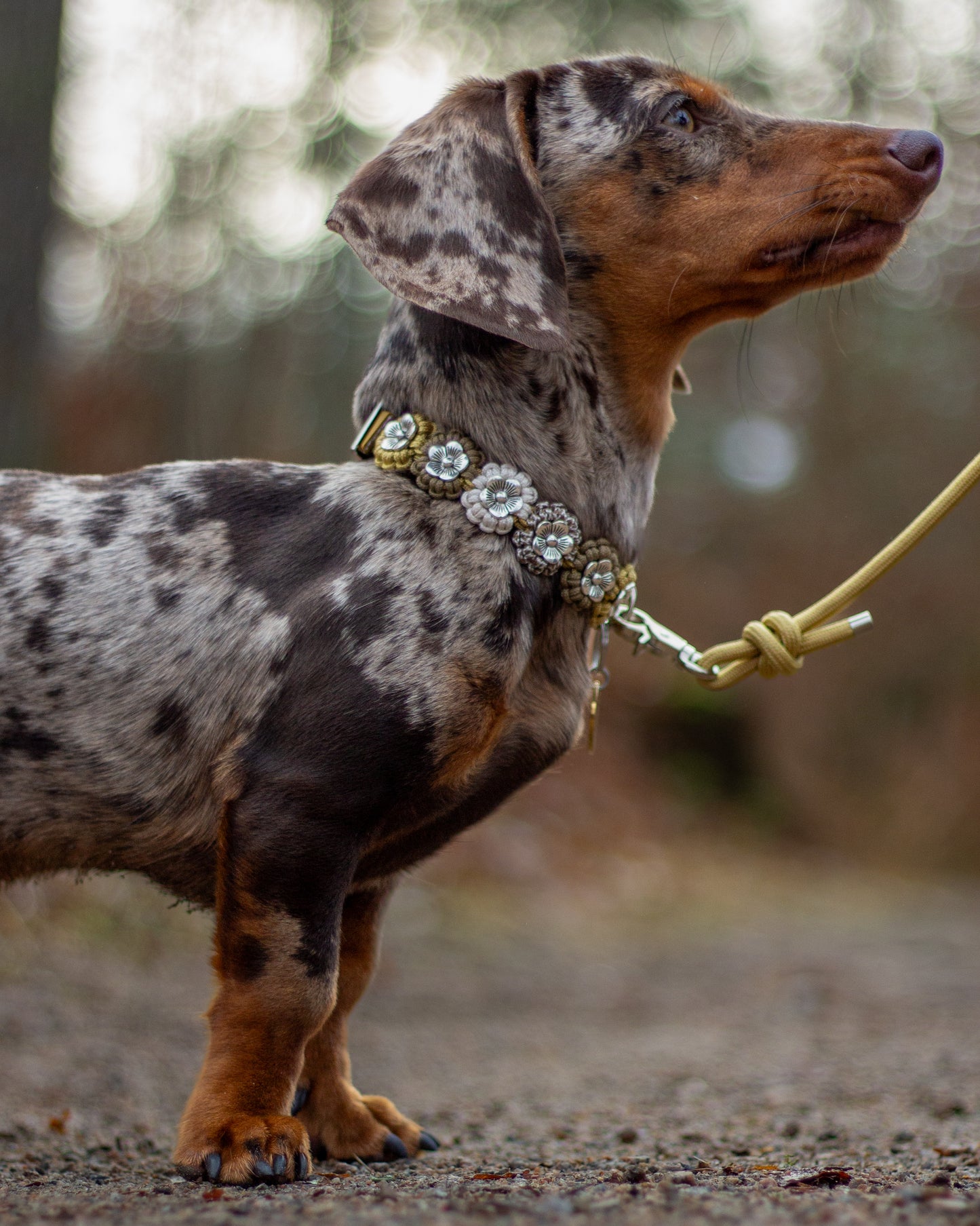 Halsband - Light Gold