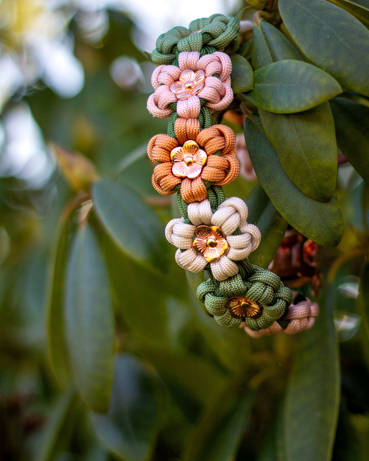 Collar - Hazelnut Brown
