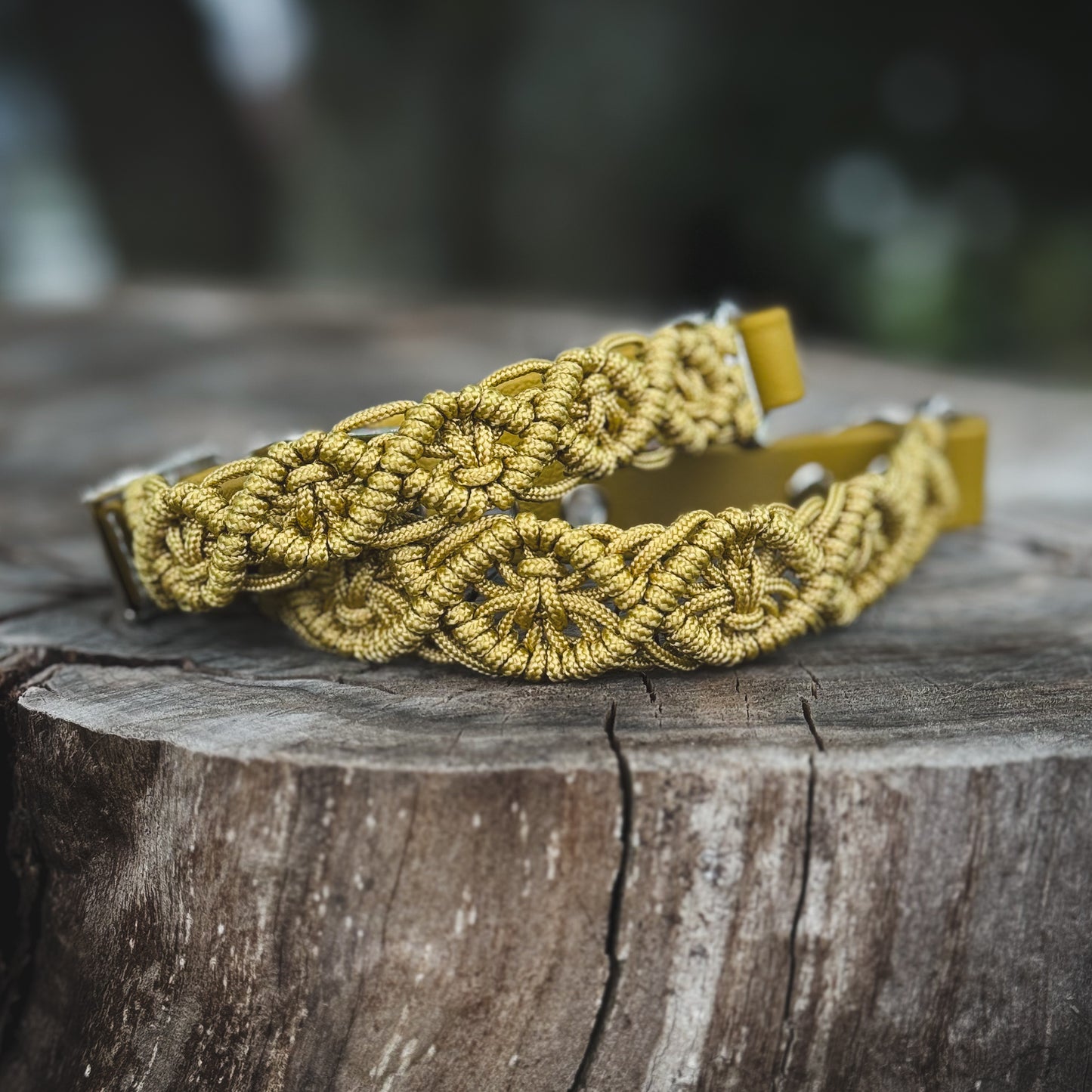 Collar - Beige