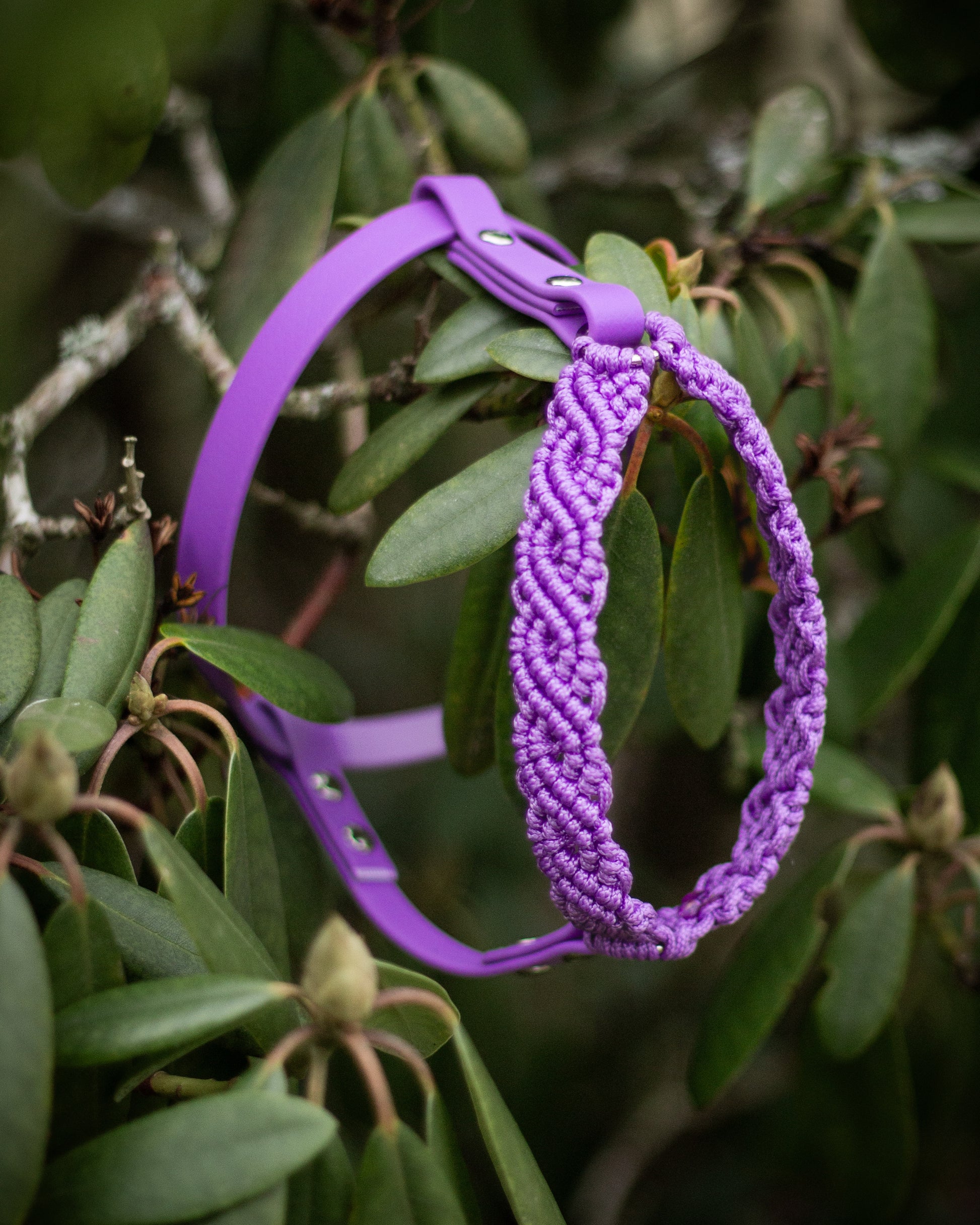 måttbeställd sele i vacker makrame, paracord och biothane