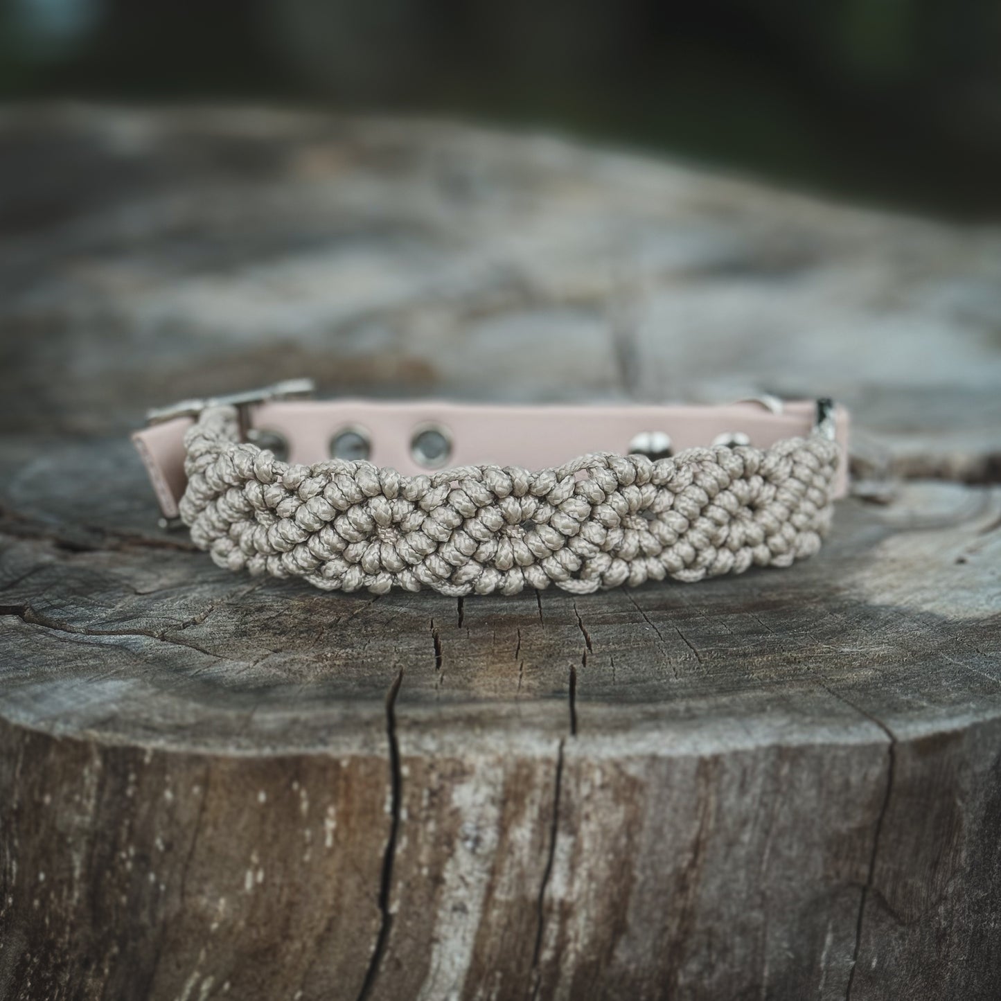 Detaljerat handgjort hundhalsand i beige paracord och BioThane
