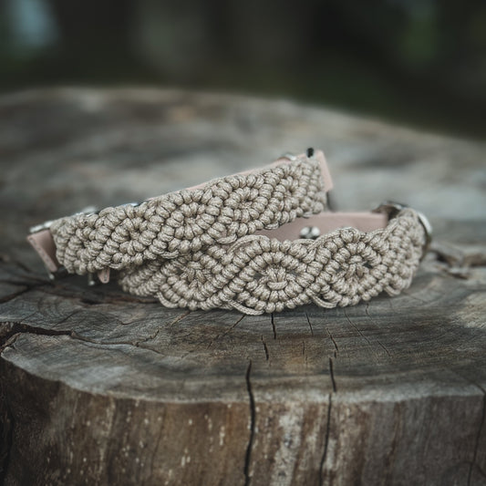 Beige flätat hundhalsband av paracord och BioThane för små hundar