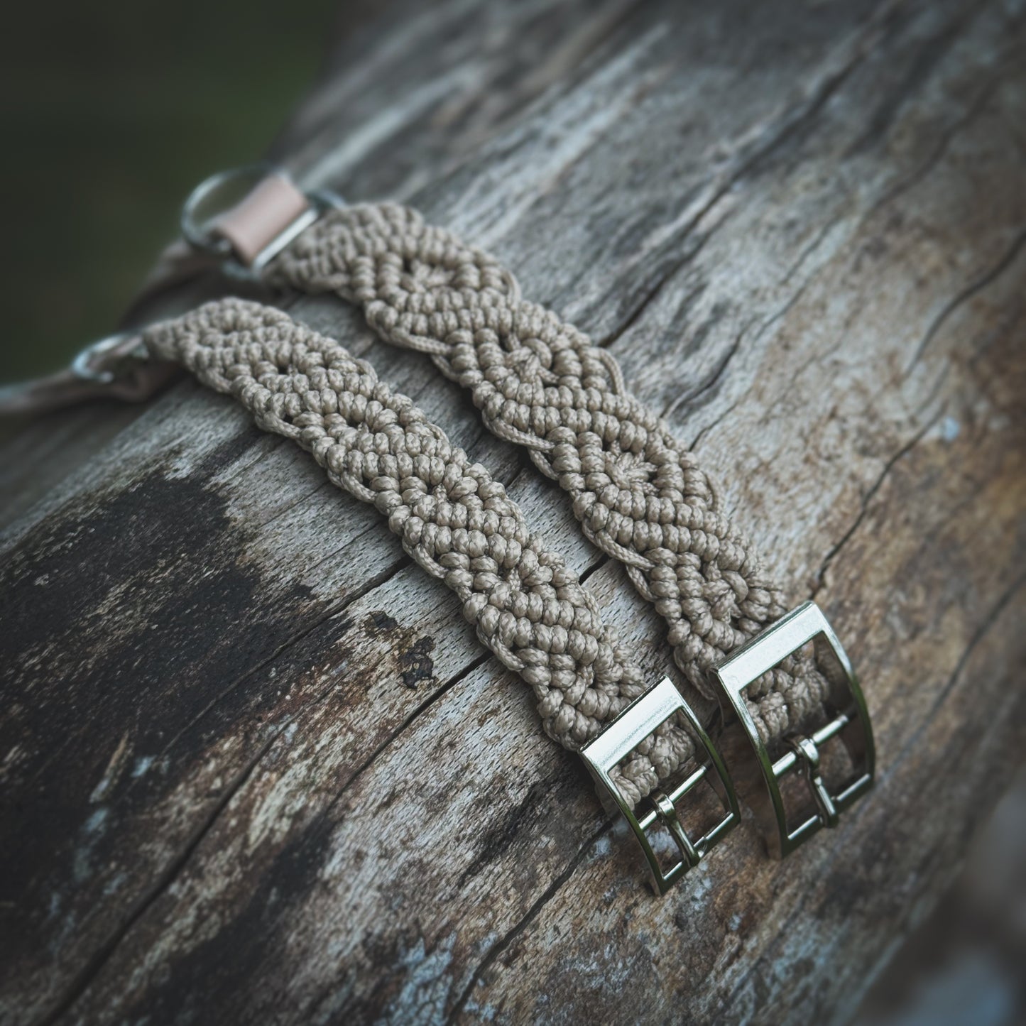 Handgjort beige hundhalsband av flätad paracord och slitstark BioThane-rem för små hundar