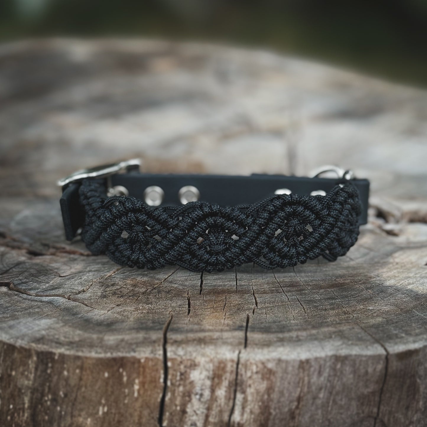 Svart hundhalsband i paracord och BioThane för daglig användning