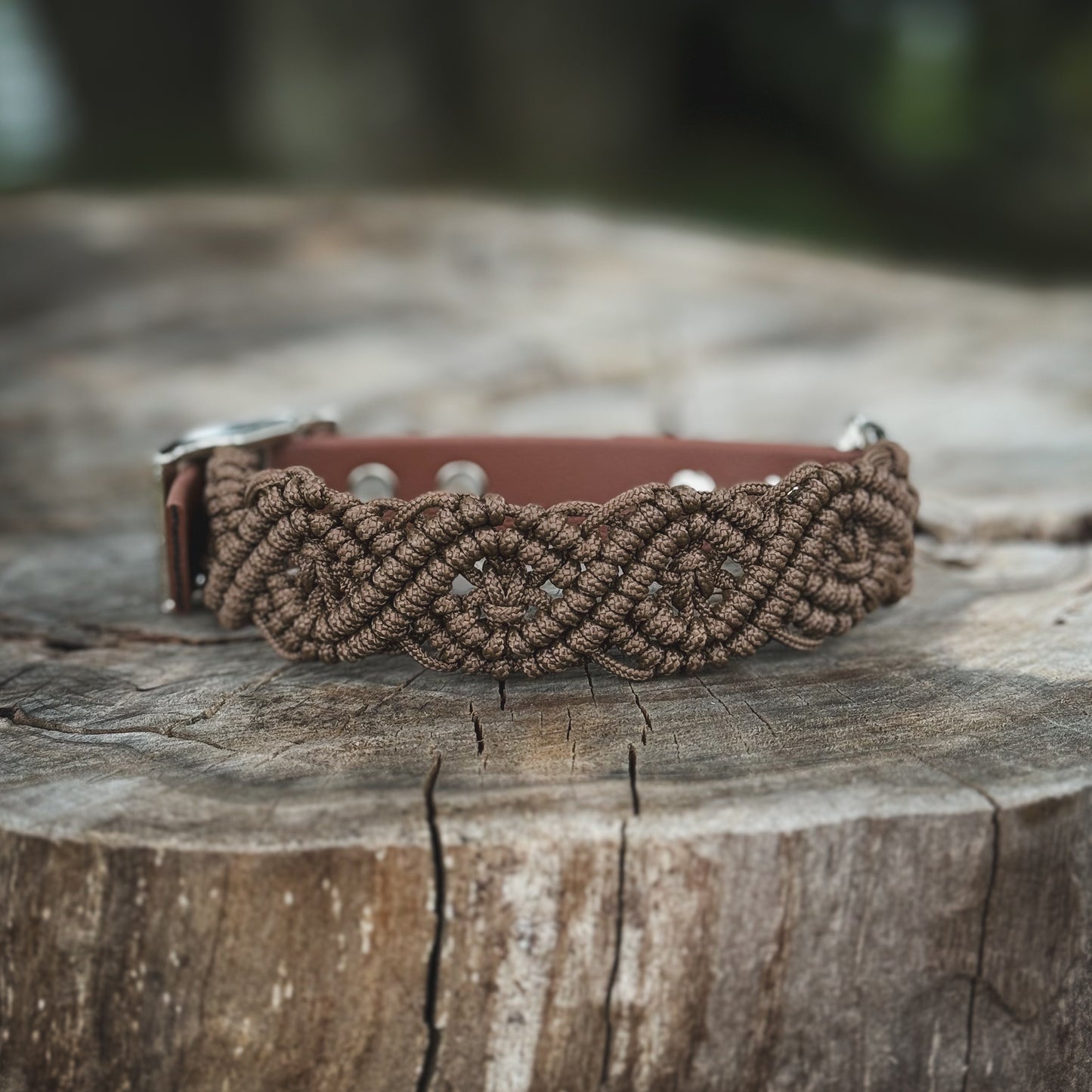 Collar - Hazelnut Brown