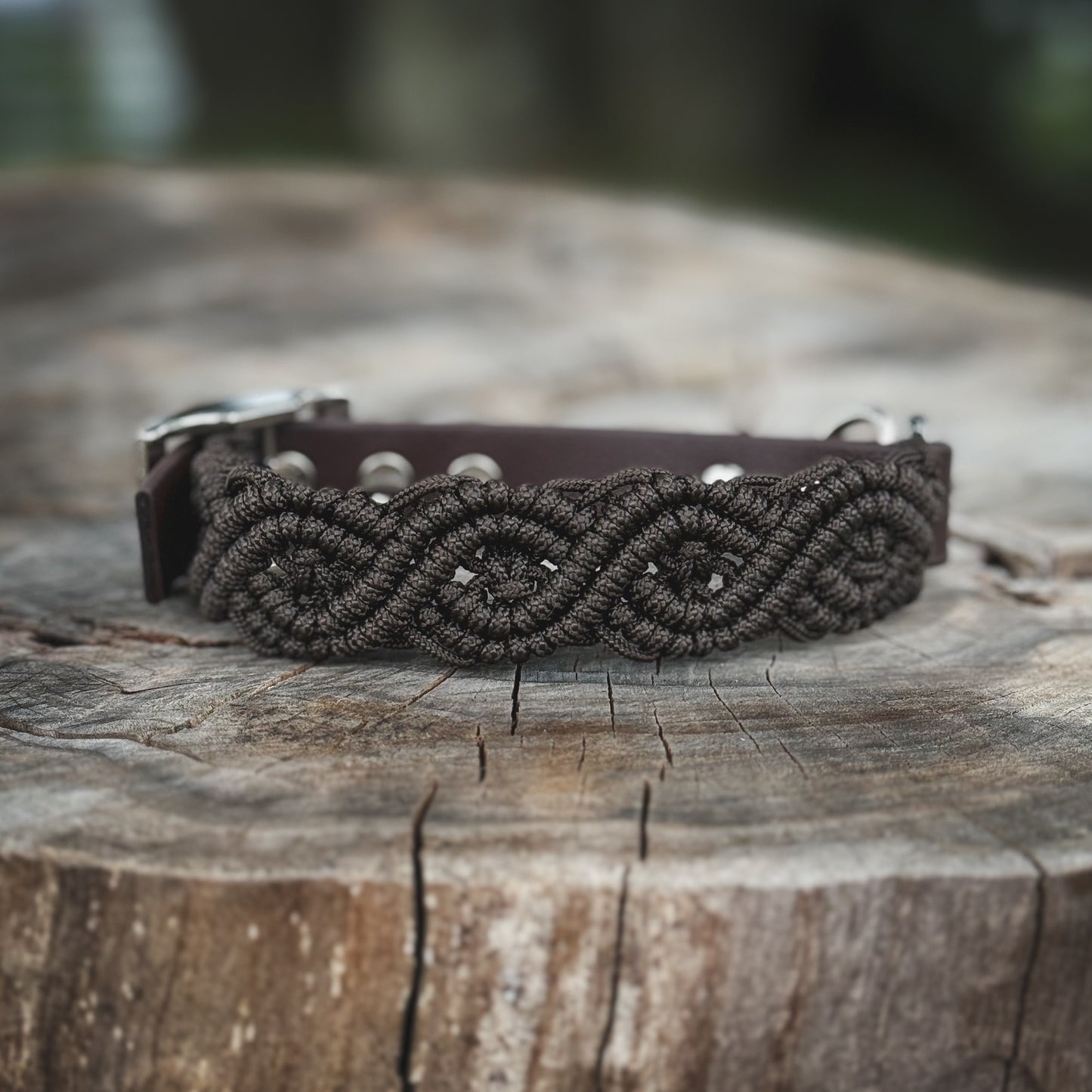 Mörkbrunt hundhalsband i paracord och BioThane för daglig användning